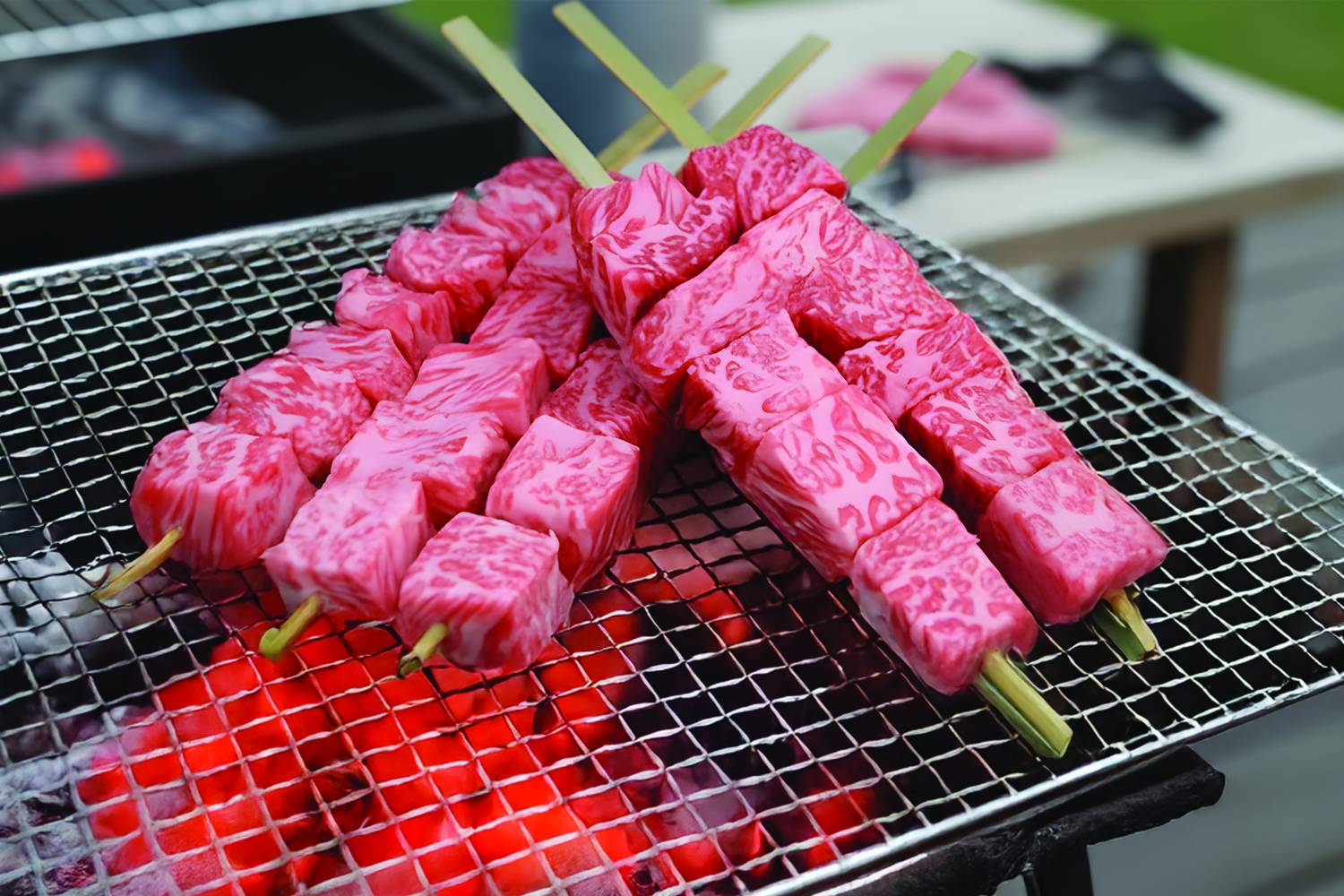 【數量限定】急凍日本鹿兒島A5黑毛和牛 BMS 12 (5串)